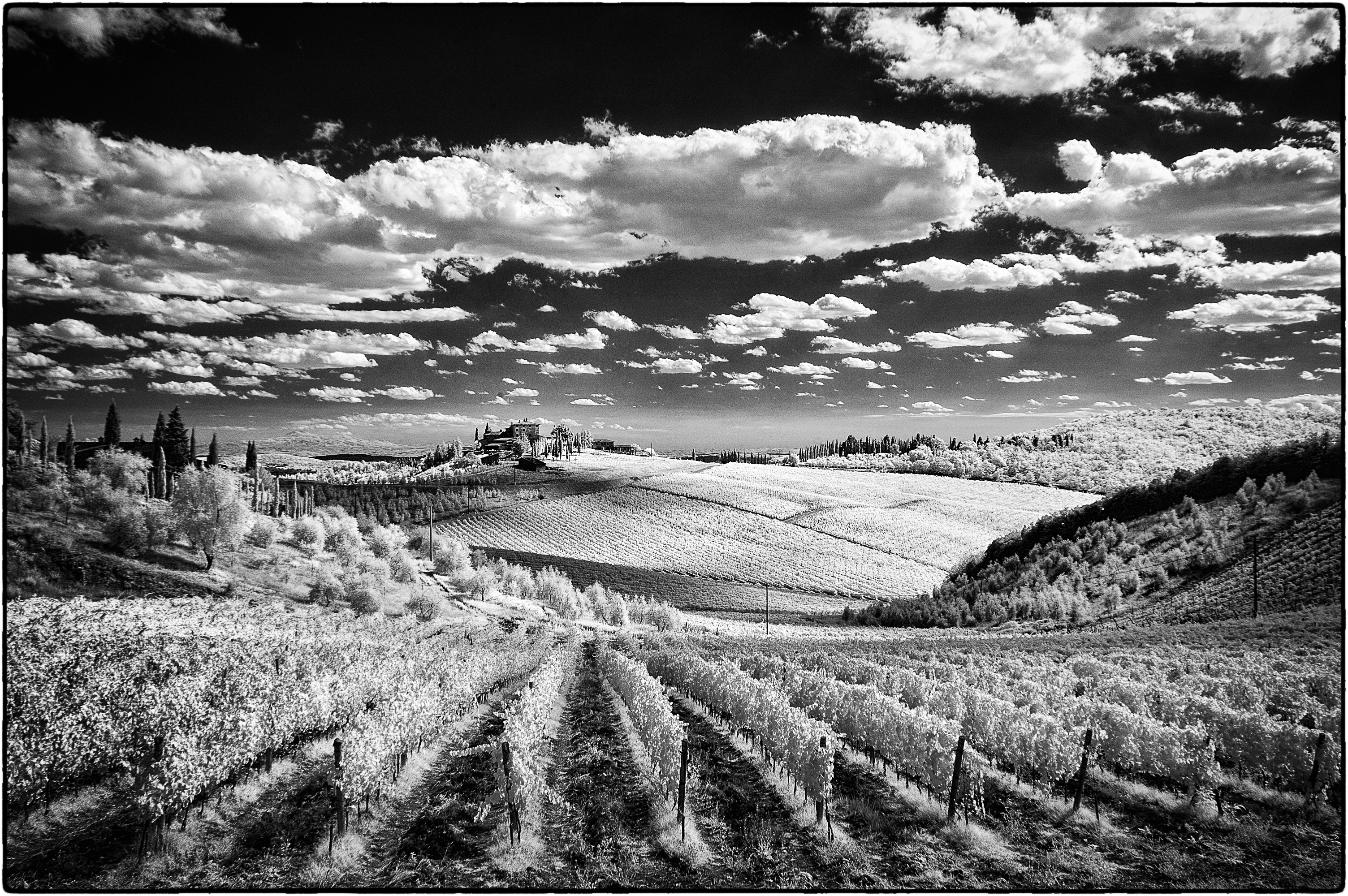 infrared camera nikon